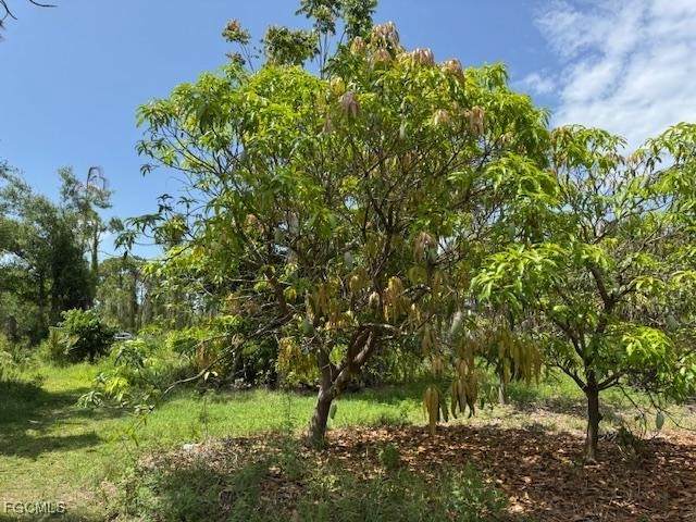 5431 Gamebird Lane - Photo 1