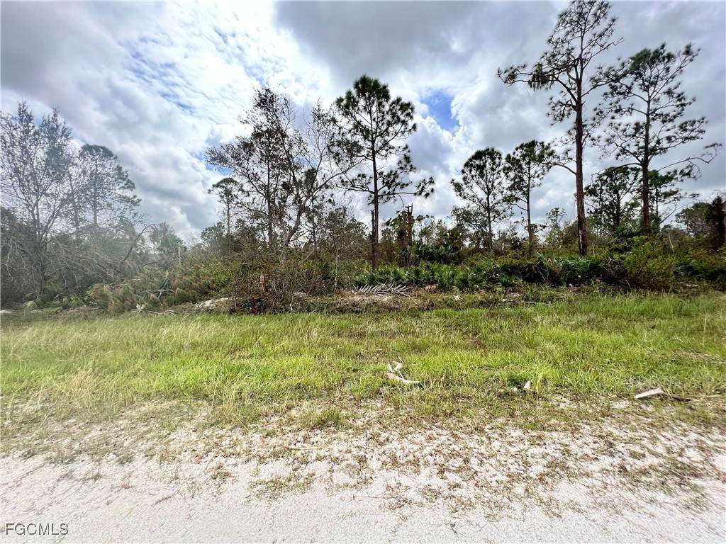 27357 Monte Cristo Boulevard - Photo 1