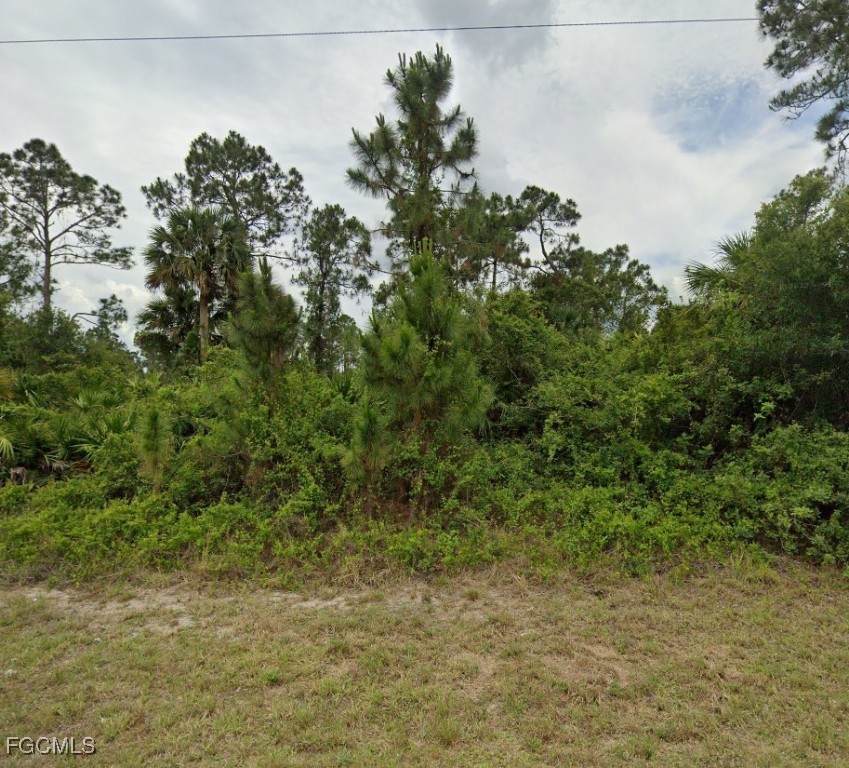 1252 Hillcrest Street - Photo 1