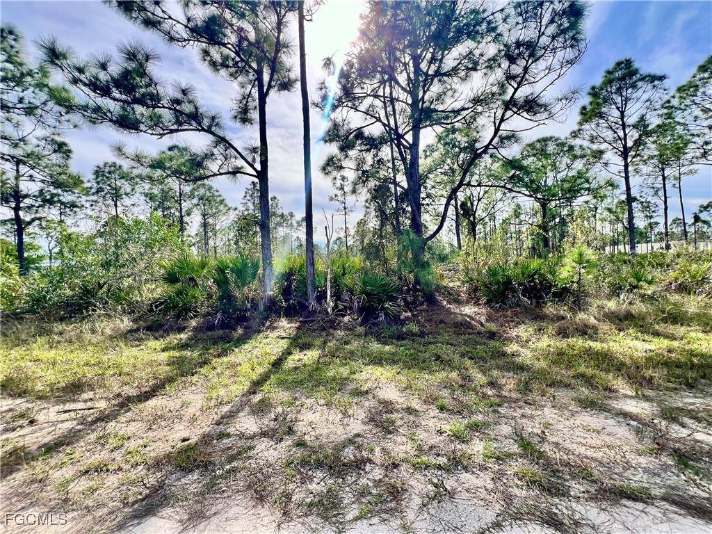 27079 Seeger Drive - Photo 1