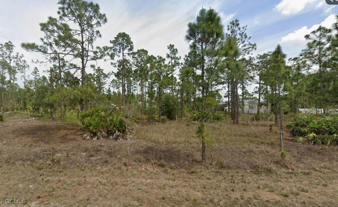 1113 Florence Street - Photo 1