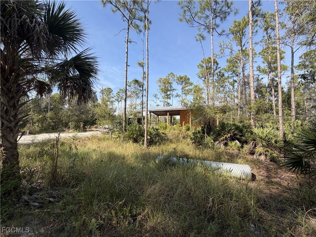 9881 Councilor Lane - Photo 1