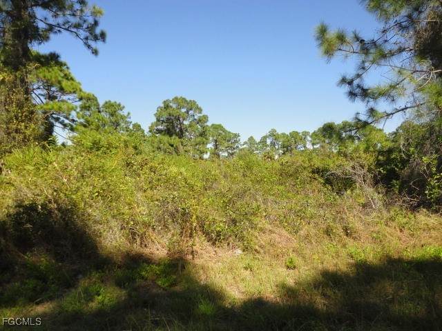 927 Fern Street - Photo 1