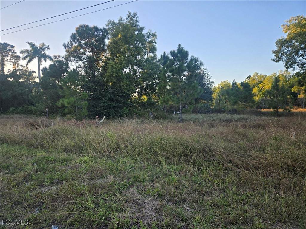 521 Denbigshire Street - Photo 1