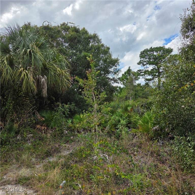 4627 Karen Avenue - Photo 1