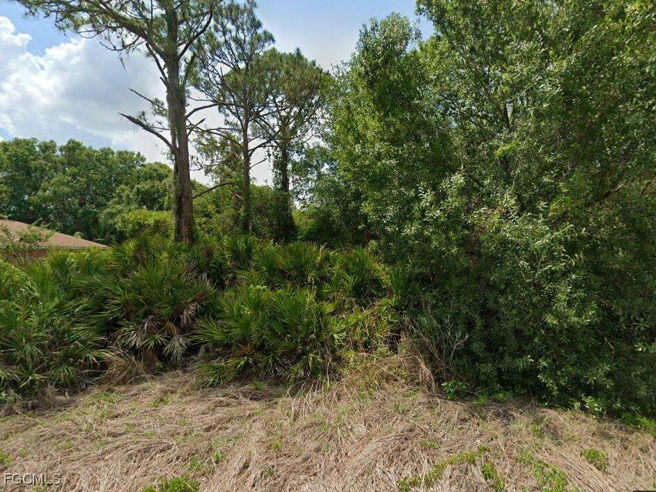 2235 Puffin Street - Photo 1