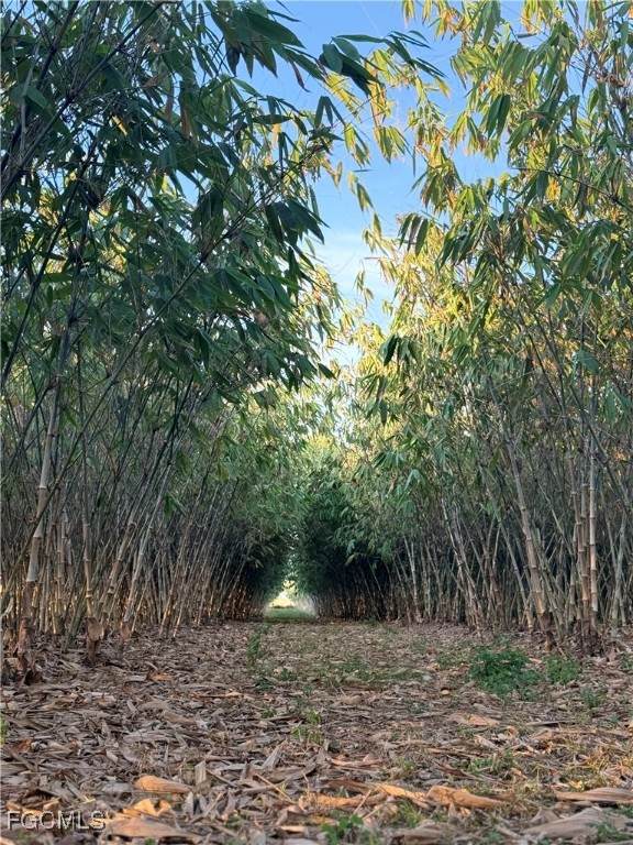 6724 5th Road - Photo 1