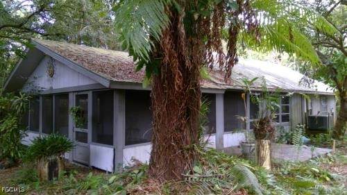 10511 Orange River Boulevard - Photo 1