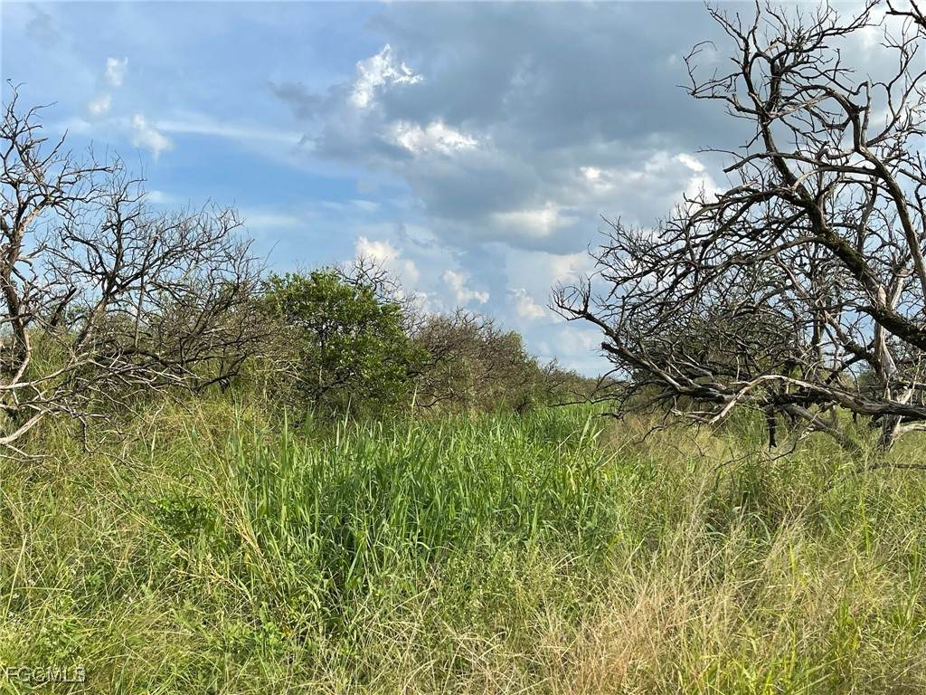 6876 5th Road - Photo 1