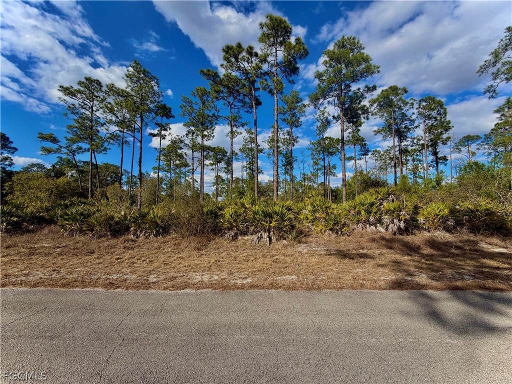 3403 9th Street - Photo 1