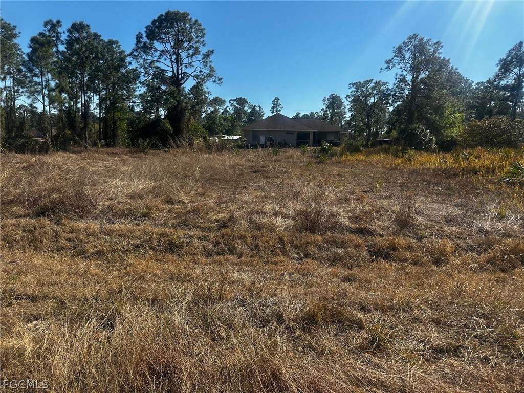 1044 Bells Street - Photo 1