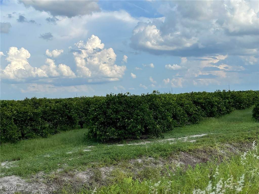  6380 + 6340 6th Road - Photo 1