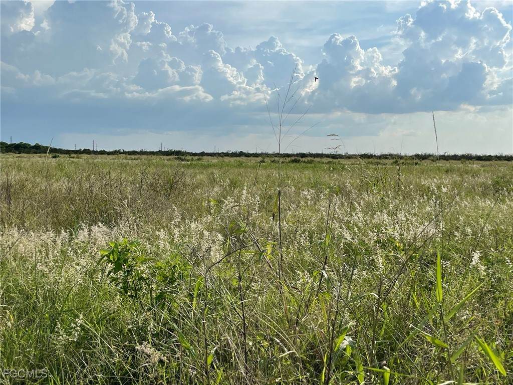 6985 6th Road - Photo 1