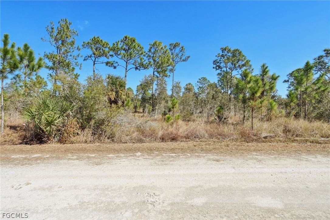13588 Carousel Drive - Photo 1