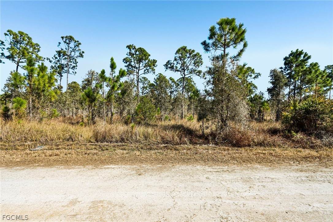 13592 Carousel Drive - Photo 1