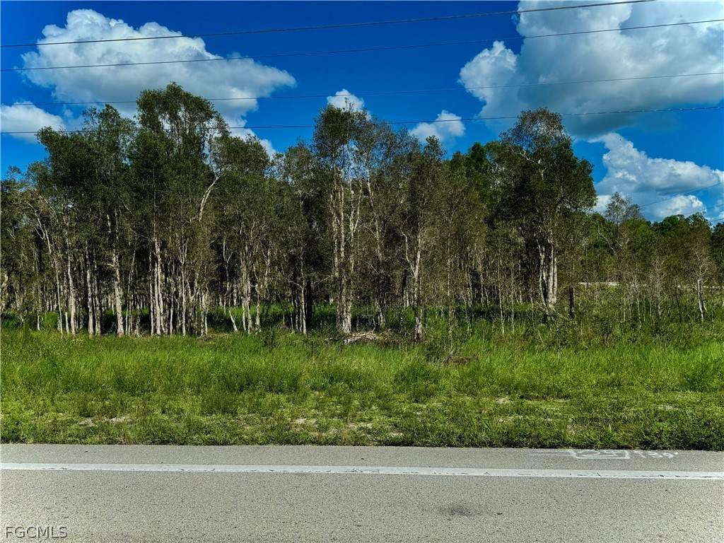 1005/1007 Homestead Road - Photo 1