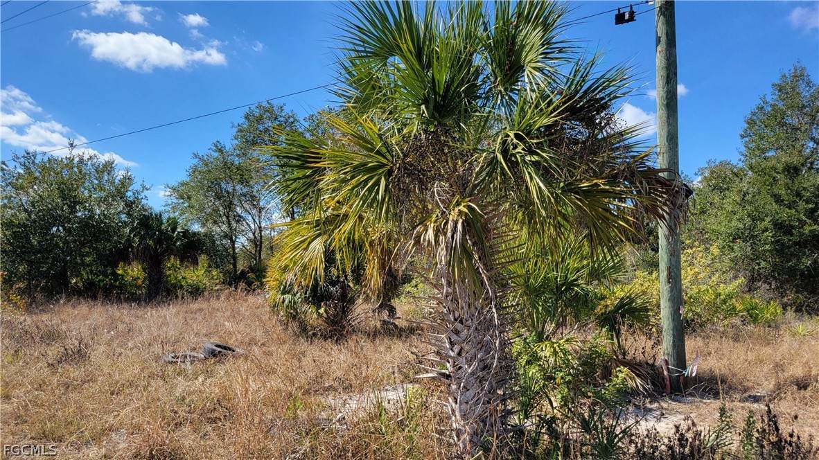 6001 Sunshine Boulevard - Photo 1