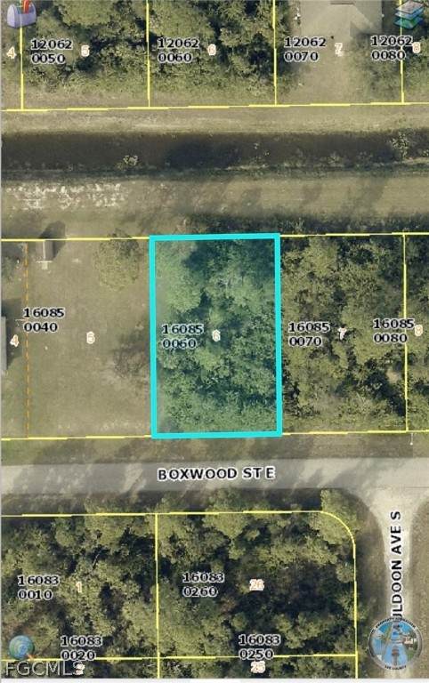 1219 Boxwood Street - Photo 1