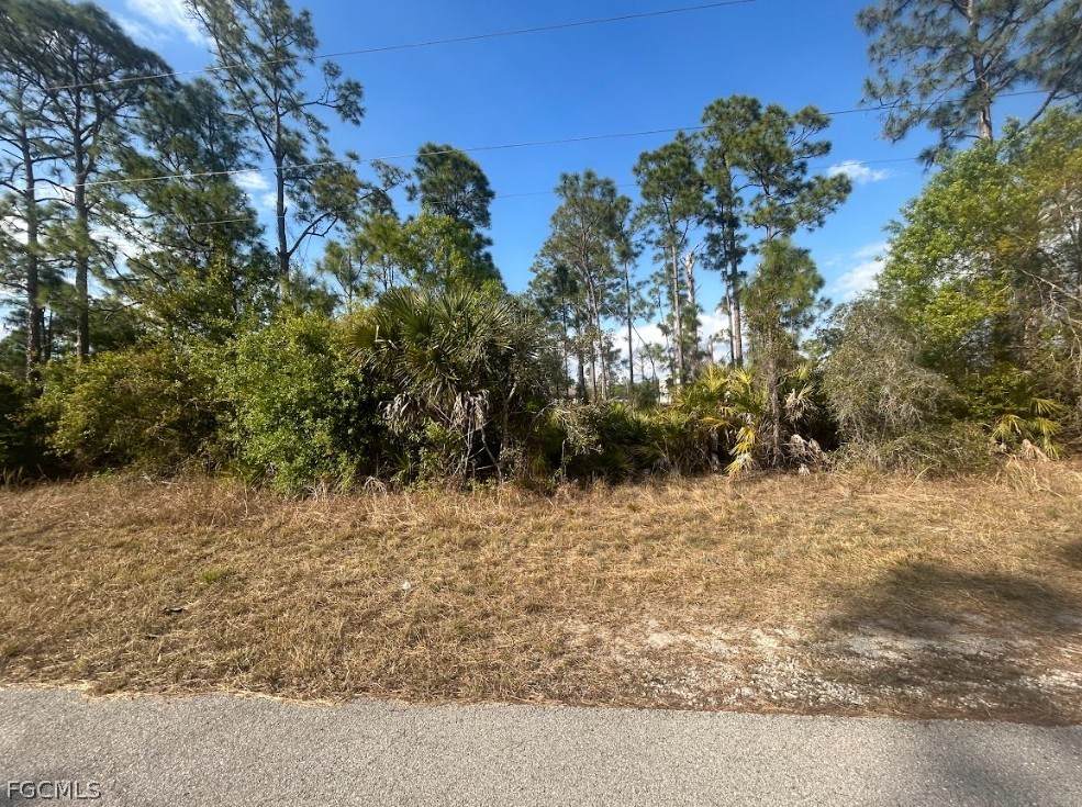 1135 Crestwood Street - Photo 1
