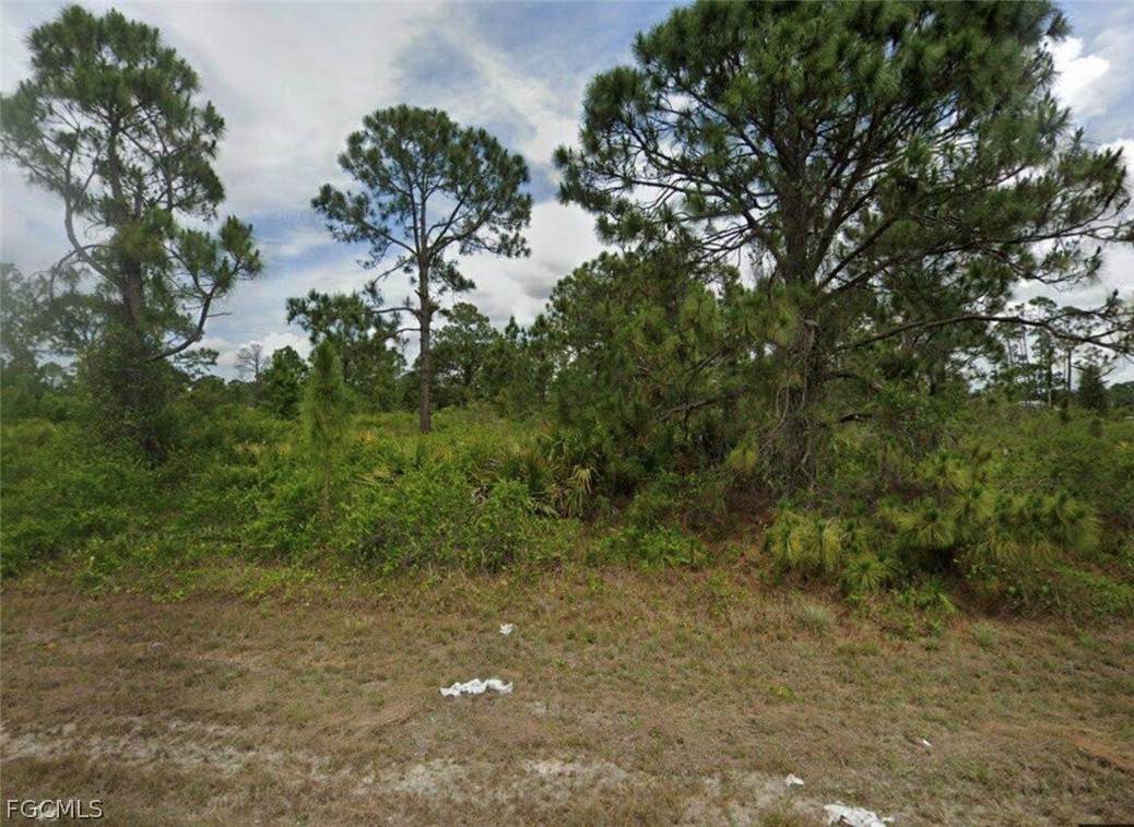 1139 Venetia Street - Photo 1