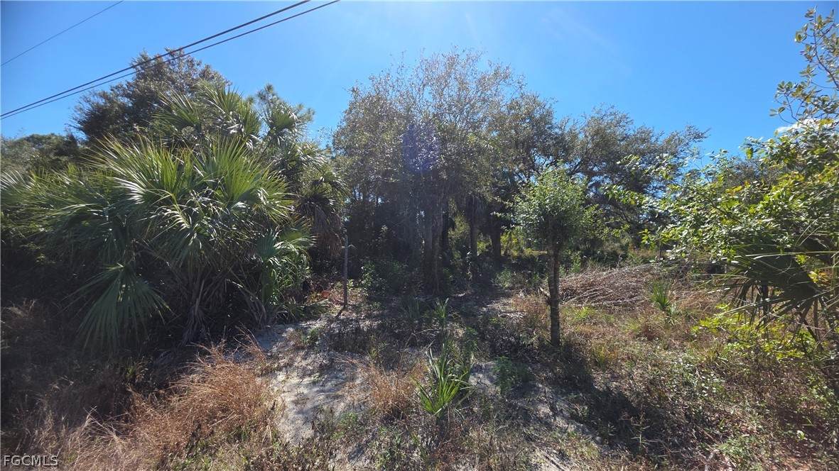 606 Charles Sise Street - Photo 1