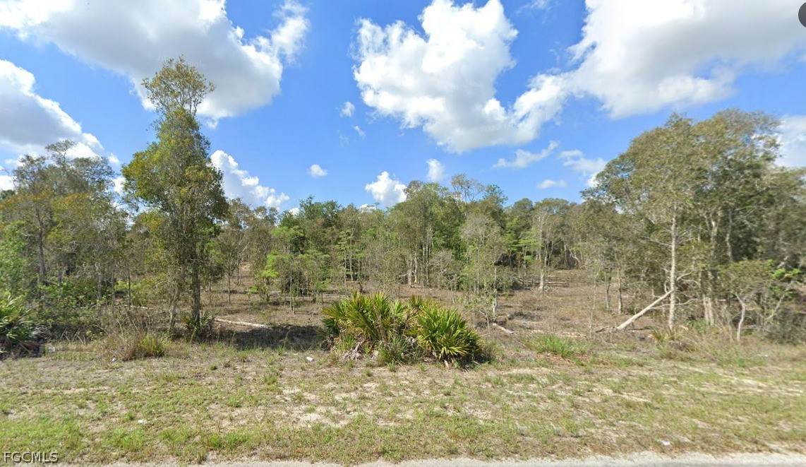 834 Yellowbird Drive - Photo 1