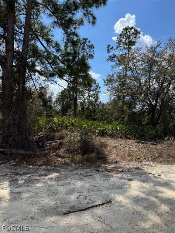 7969 3rd Terrace - Photo 1