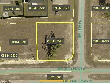 1805 Diplomat Parkway - Photo 1