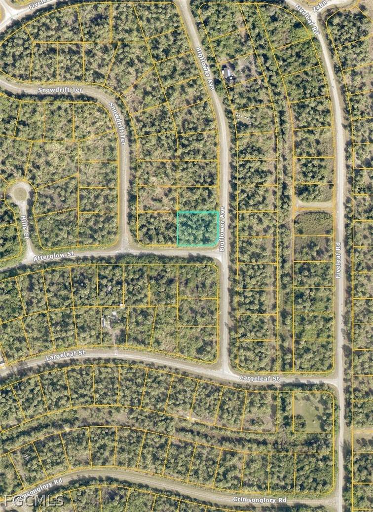 Lot 12 Bigflower Avenue - Photo 1