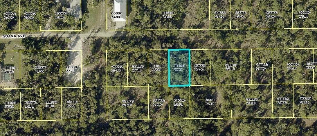 7101 Guava Avenue - Photo 1