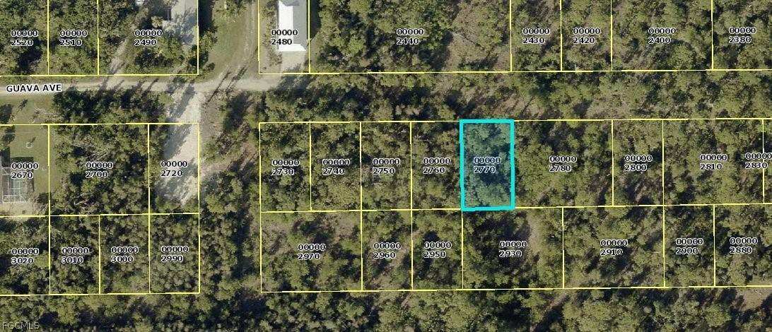 7091 Guava Avenue - Photo 1