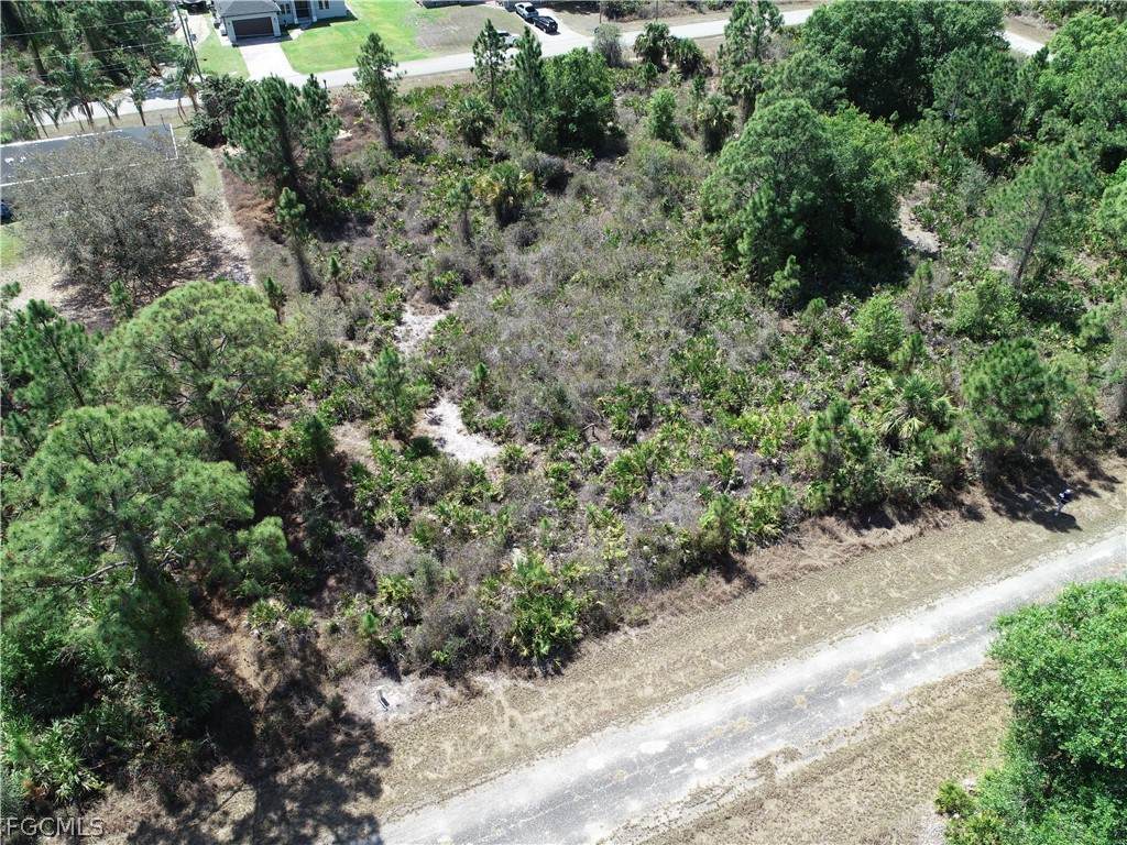 1034 Card Street - Photo 1