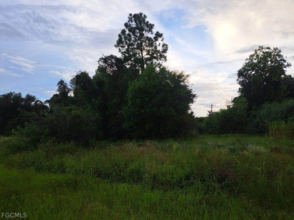 145 Pine Lane - Photo 1
