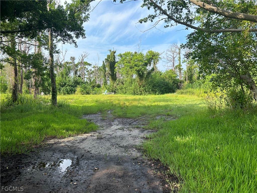 4291 Pinetree Boulevard - Photo 1