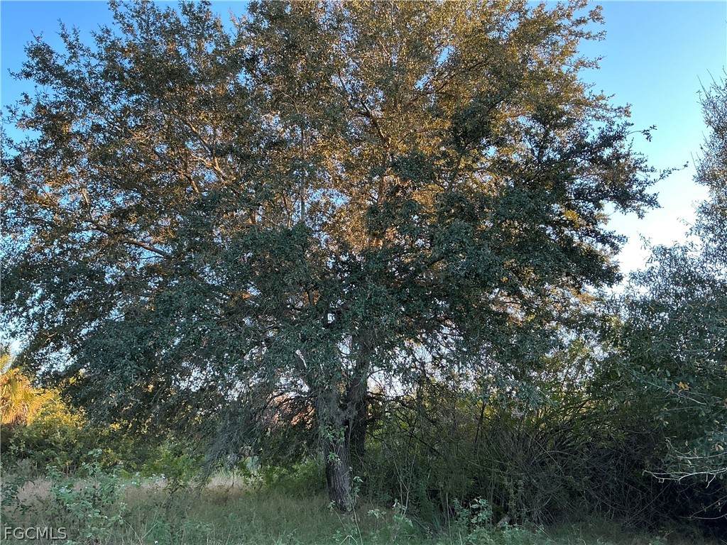 5801 4th Road - Photo 1