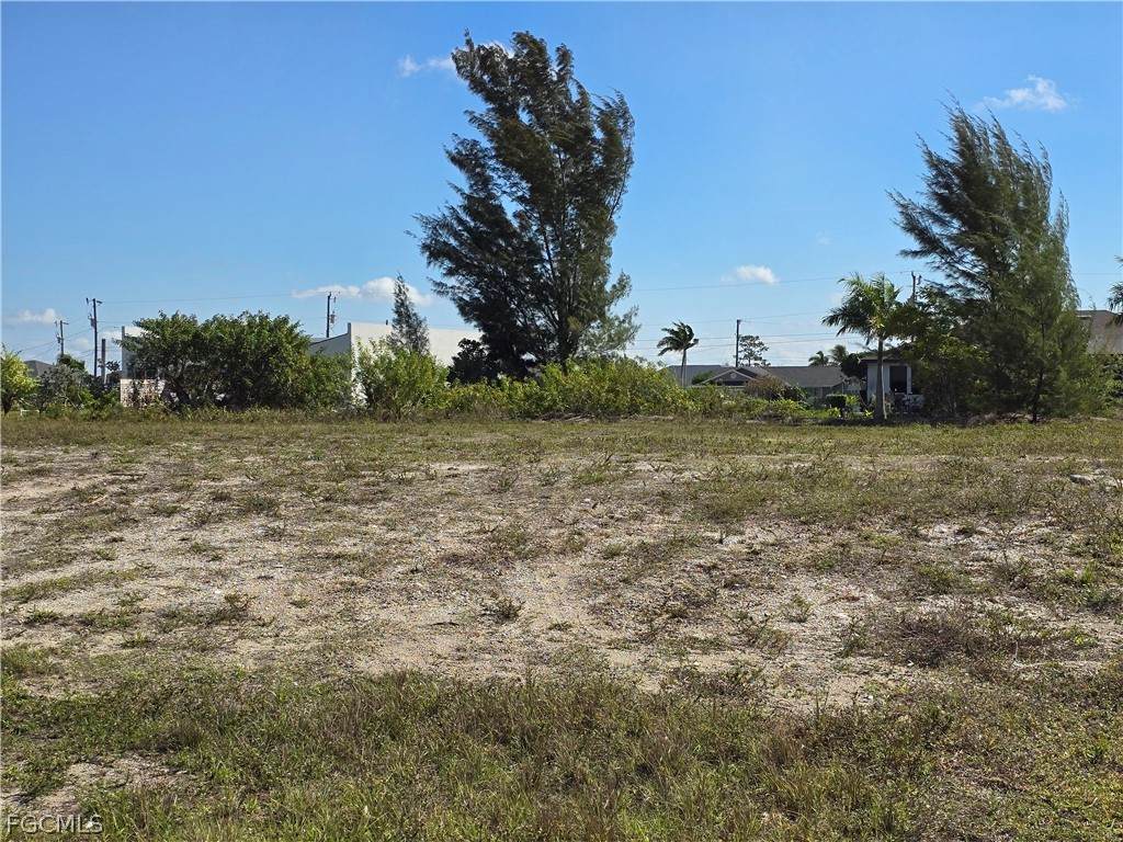 117 14th Avenue - Photo 1