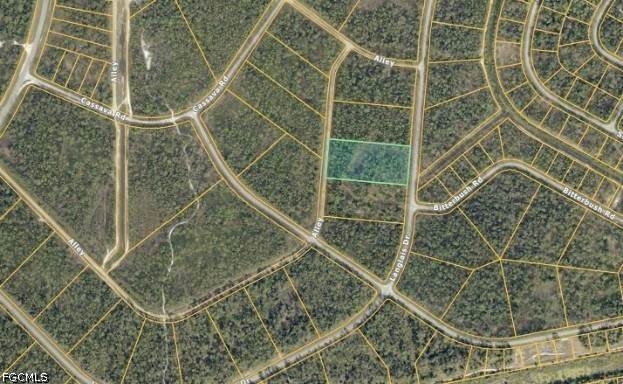  Langlais Drive - Photo 1