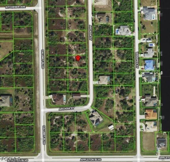 10253 Arcadia Street - Photo 1