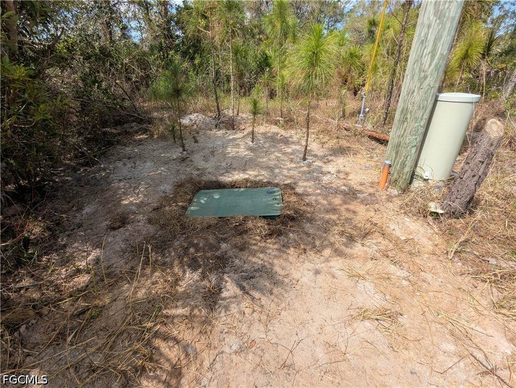 1855 Lindenwood Drive - Photo 1