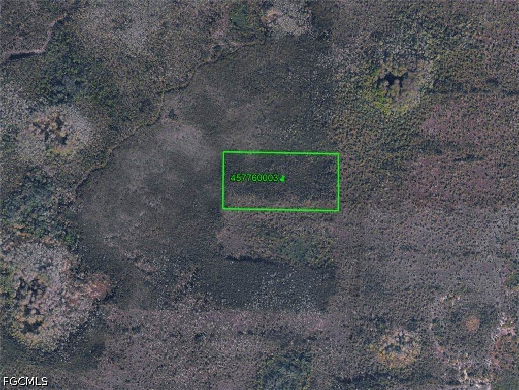 003 North Belle Meade - Photo 1