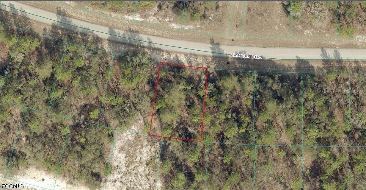8011-1354-18 144 Street Road - Photo 1