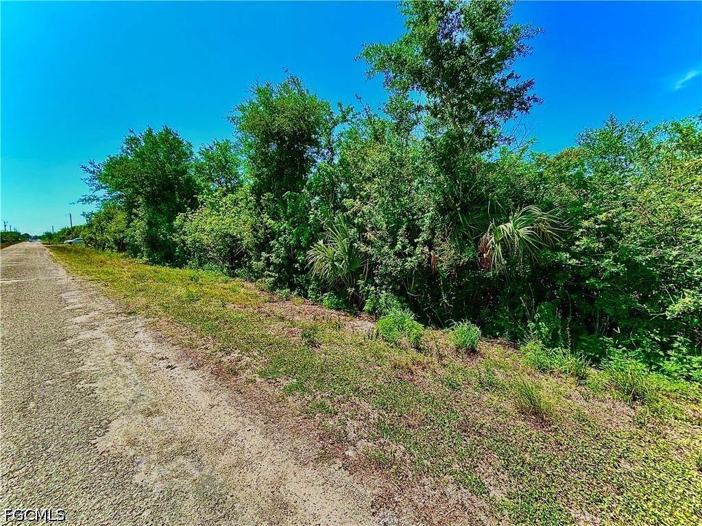 857 Casper Yost Street - Photo 1