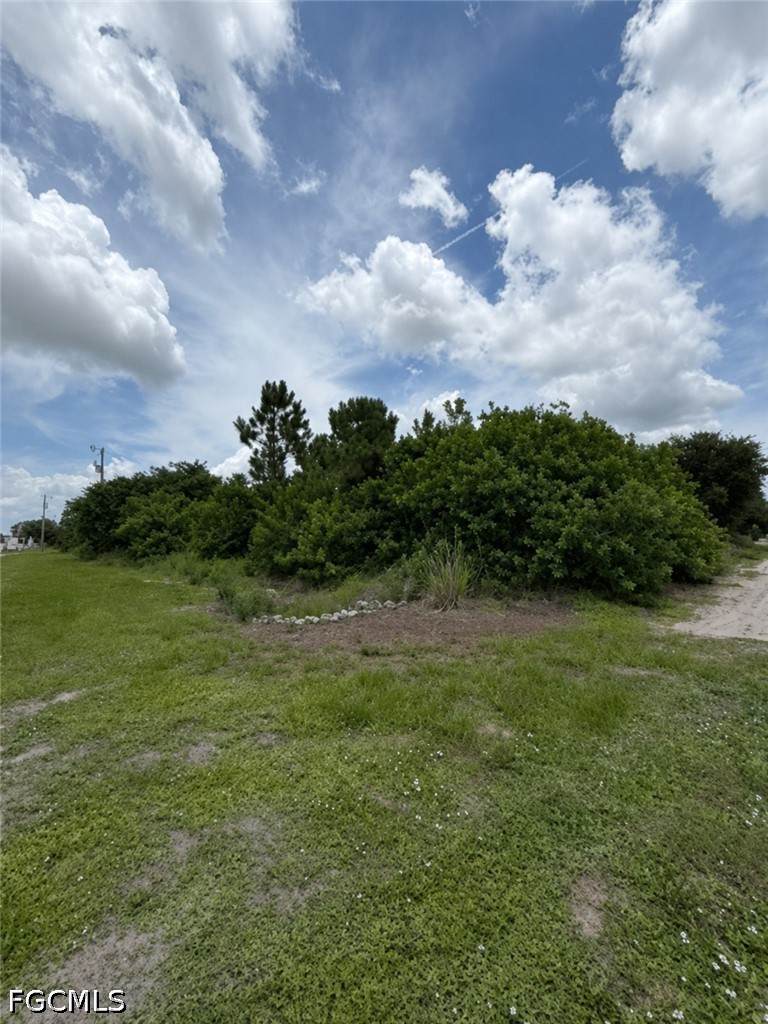 4609 Connie Avenue - Photo 1