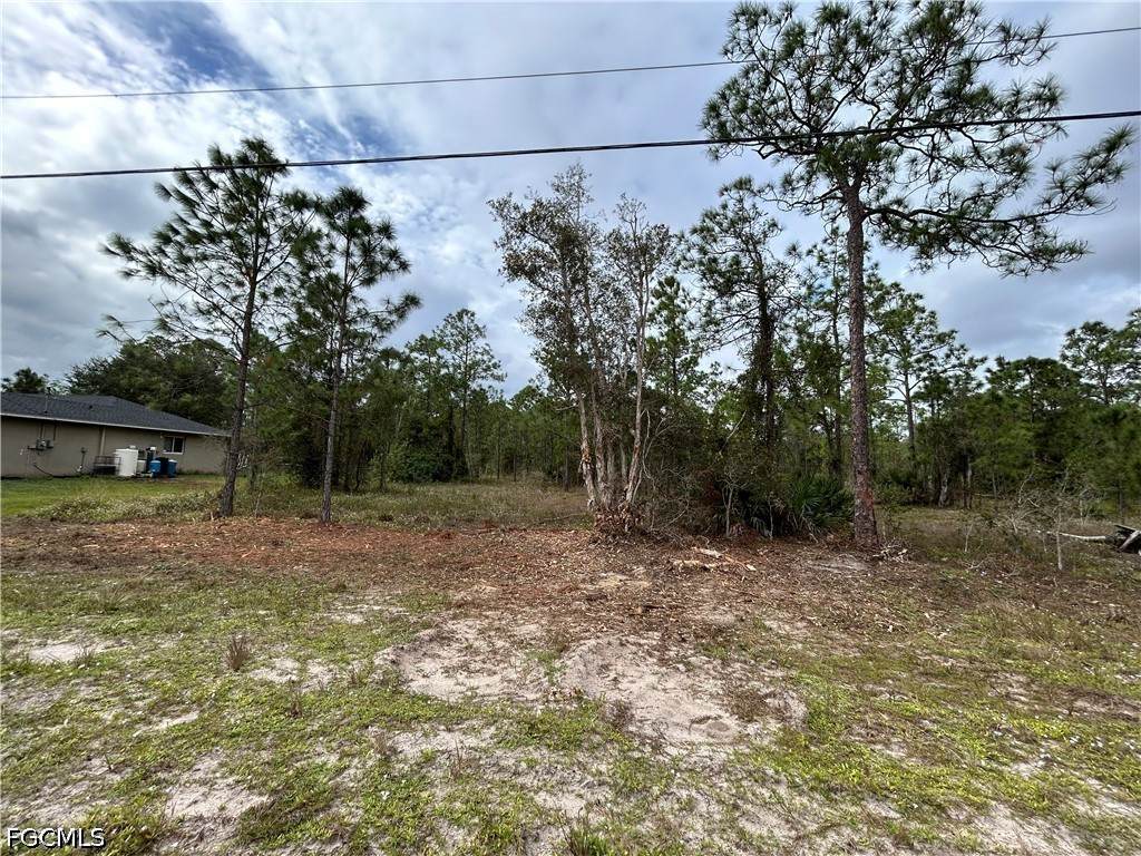 445 Jaguar Boulevard - Photo 1