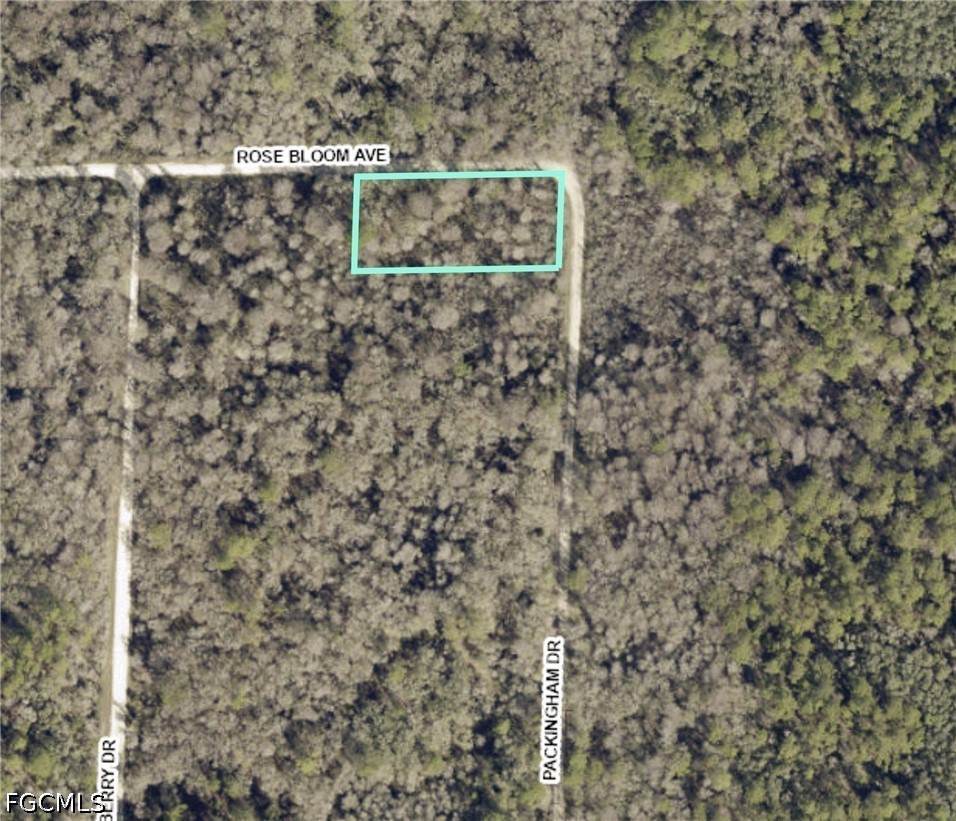 33464 Packingham Drive - Photo 1