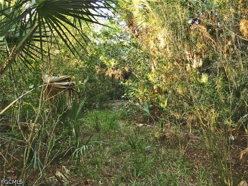 https://bt-photos.global.ssl.fastly.net/flgulf/orig_boomver_1_2026028352-2.jpg