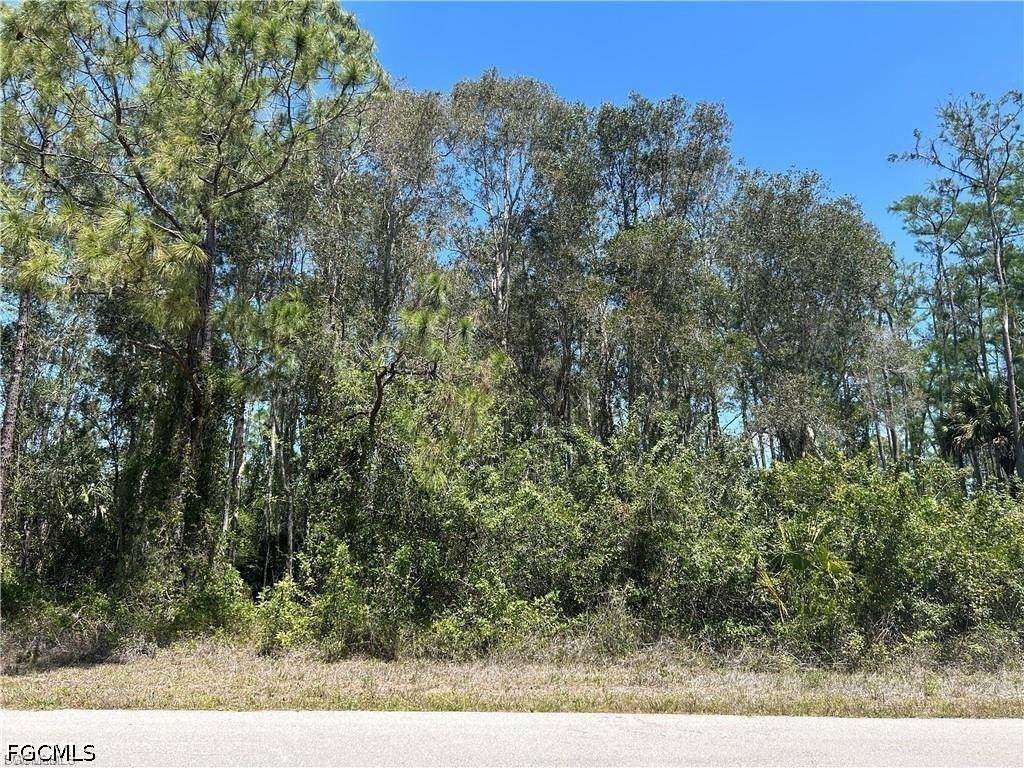 665 Knapp Street - Photo 1