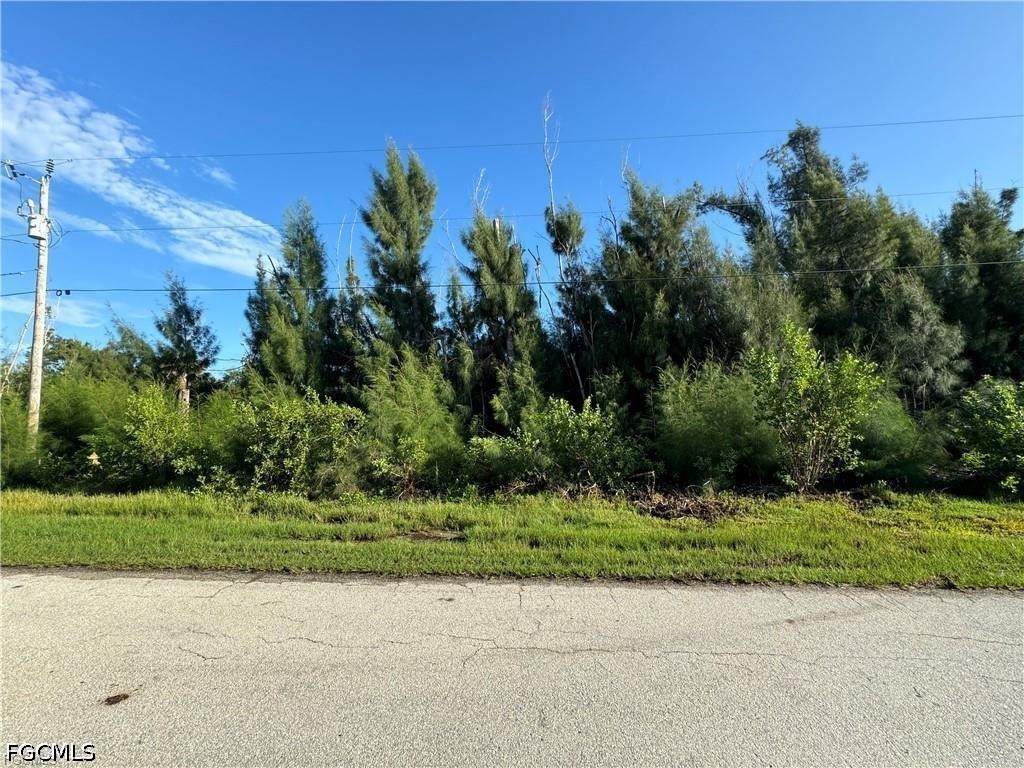 3486 Papaya Street - Photo 1
