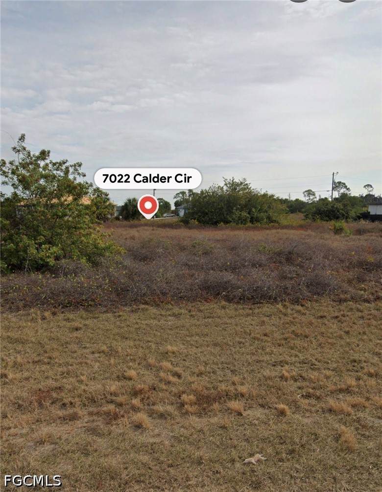 7022 Calder Circle - Photo 1
