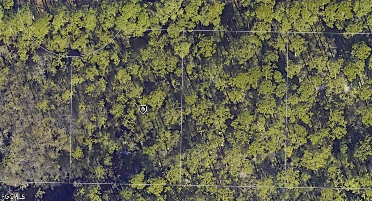 30-2S-20-33308-000-0 Long Leaf Circle - Photo 1